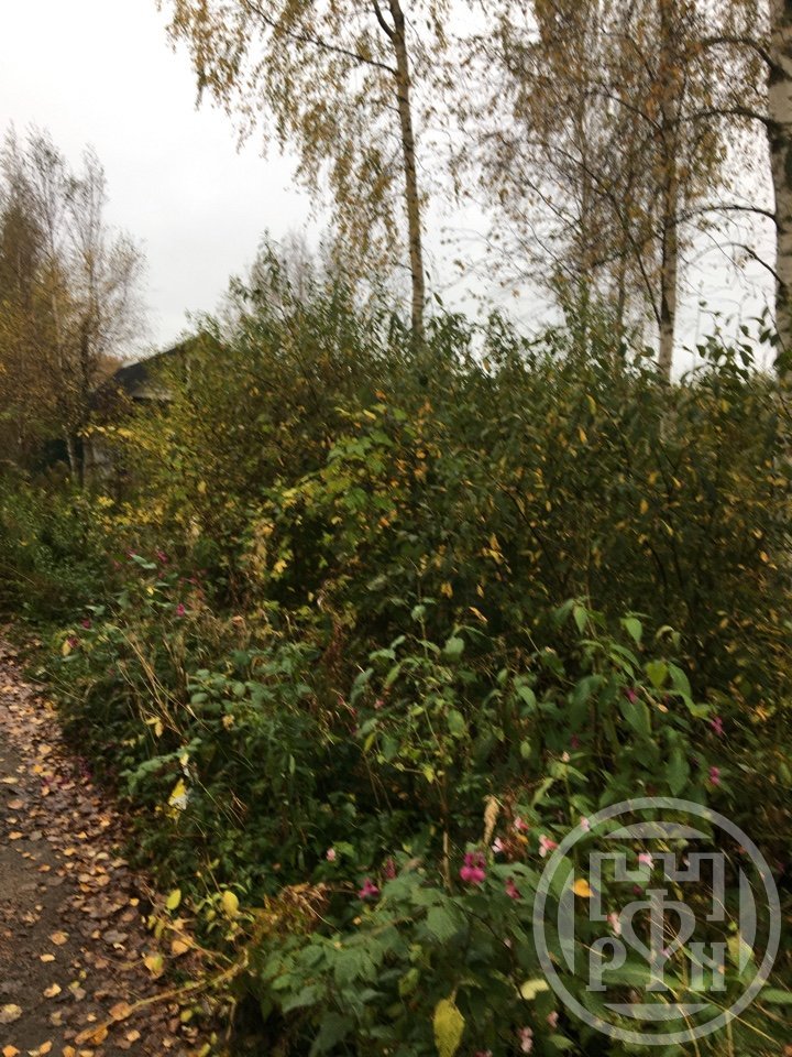 Продажа участка, Ленинградская, Борисова Грива массив, д 79 Продажа участка, Ленинградская, Борисова Грива массив, д 79