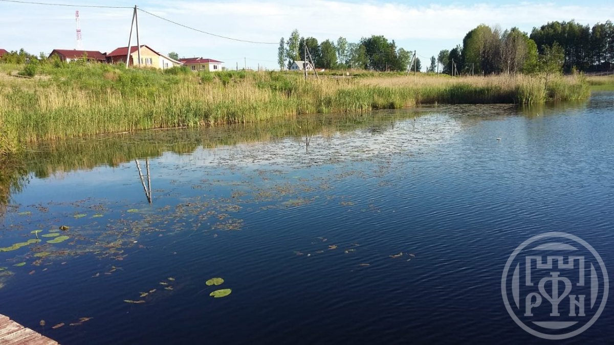 Продажа участка, Барышево, Барышево пос. Продажа участка, Барышево, Барышево пос.