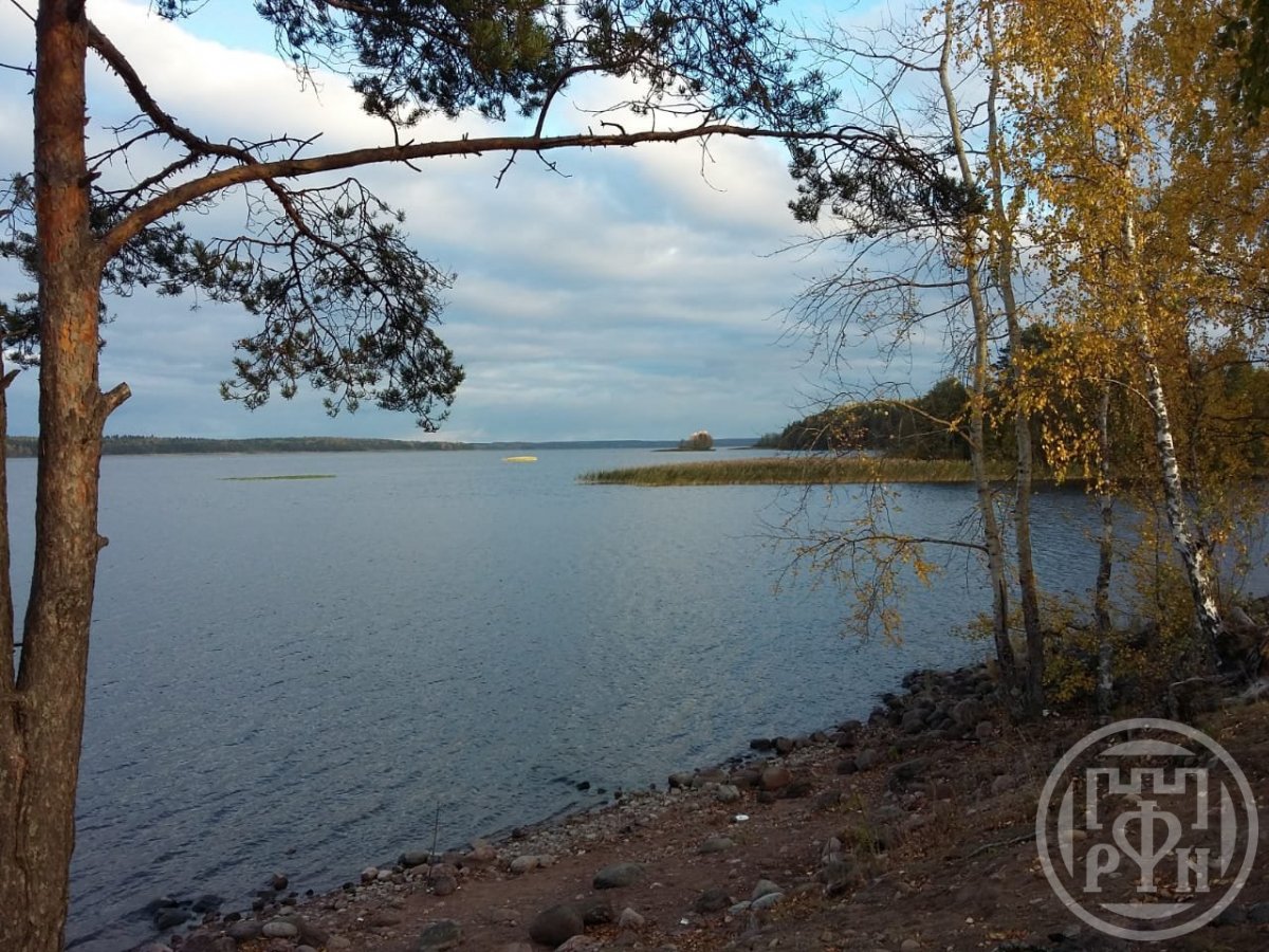 Продажа участка, Барышево, Барышево пос. Продажа участка, Барышево, Барышево пос.