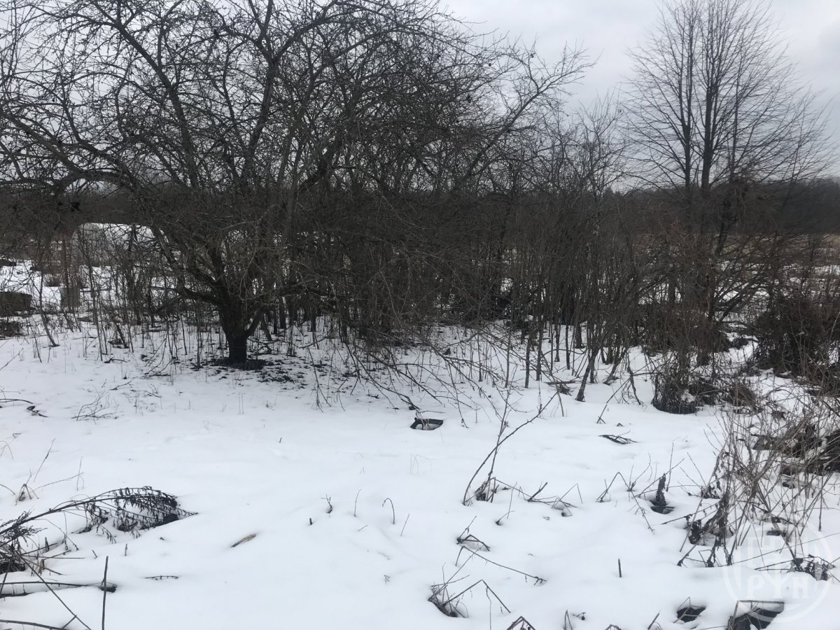 Продажа участка, Чайково, Чайково дер. Продажа участка, Чайково, Чайково дер.