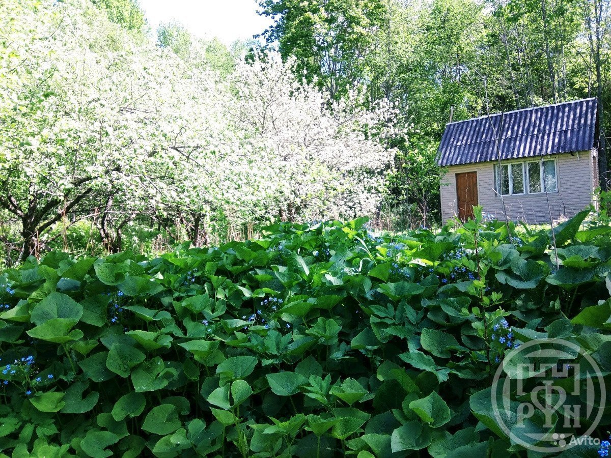 Продажа дома, 25м <sup>2</sup>, 19 сот., Луга, Ленинградская ул. Продажа дома, 25м <sup>2</sup>, 19 сот., Луга, Ленинградская ул.