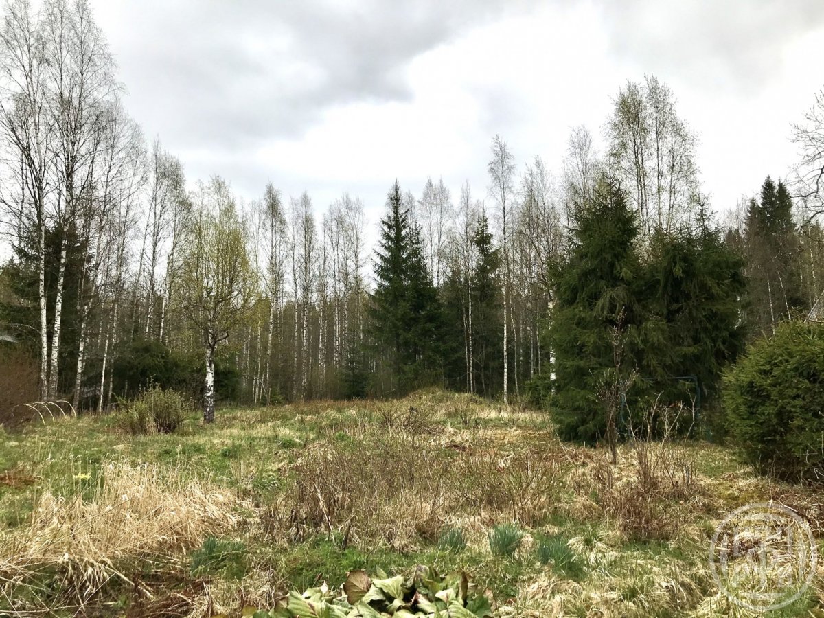 Продажа дома, 55м <sup>2</sup>, 17 сот., Ленинградская, Каннельярви п/ст Продажа дома, 55м <sup>2</sup>, 17 сот., Ленинградская, Каннельярви п/ст