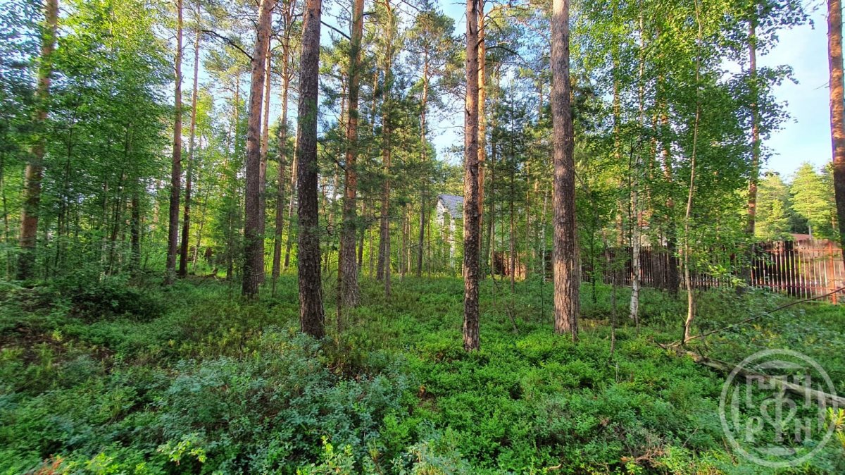 Продажа участка, Всеволожск, Ломоносова ул., д 121 Продажа участка, Всеволожск, Ломоносова ул., д 121