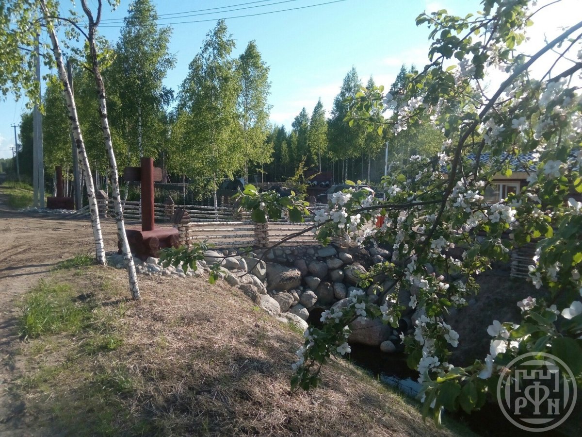 Продажа участка, Ленинградская, Борисова Грива массив Продажа участка, Ленинградская, Борисова Грива массив