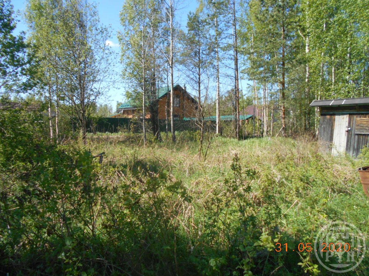 Продажа участка, Ленинградская, Рахья массив Продажа участка, Ленинградская, Рахья массив