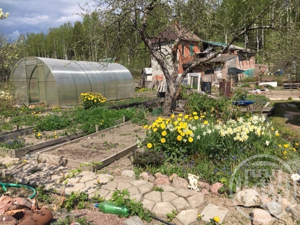 Продажа дома, 30м <sup>2</sup>, 6 сот., Выборг, Большой Лог снт, д 1 Продажа дома, 30м <sup>2</sup>, 6 сот., Выборг, Большой Лог снт, д 1
