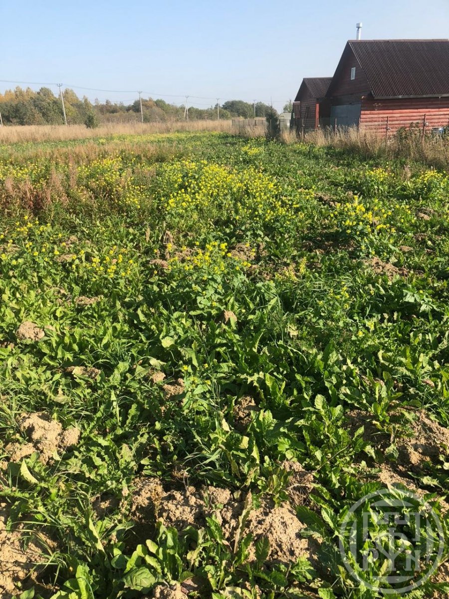 Продажа участка, Ропша, Ропша пос. Продажа участка, Ропша, Ропша пос.