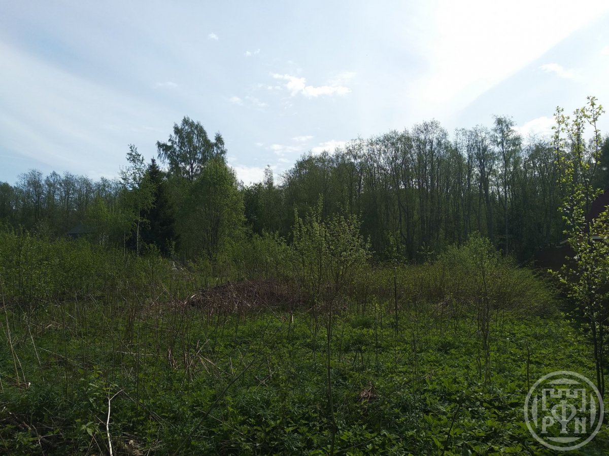 Продажа участка, Гостилицы, Гостилицы дер. Продажа участка, Гостилицы, Гостилицы дер.