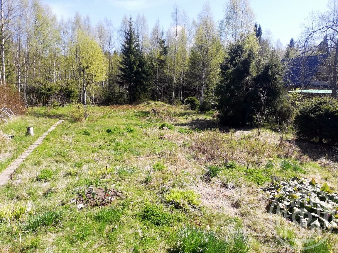 Продажа дома, 55м <sup>2</sup>, 17 сот., Ленинградская, Каннельярви п/ст Продажа дома, 55м <sup>2</sup>, 17 сот., Ленинградская, Каннельярви п/ст