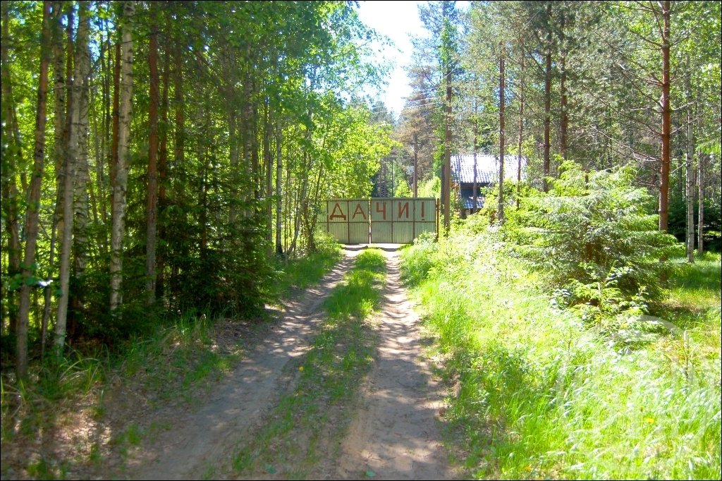 Продажа участка, Ленинградская, Озерное (п.Глубокое) снт. Продажа участка, Ленинградская, Озерное (п.Глубокое) снт.