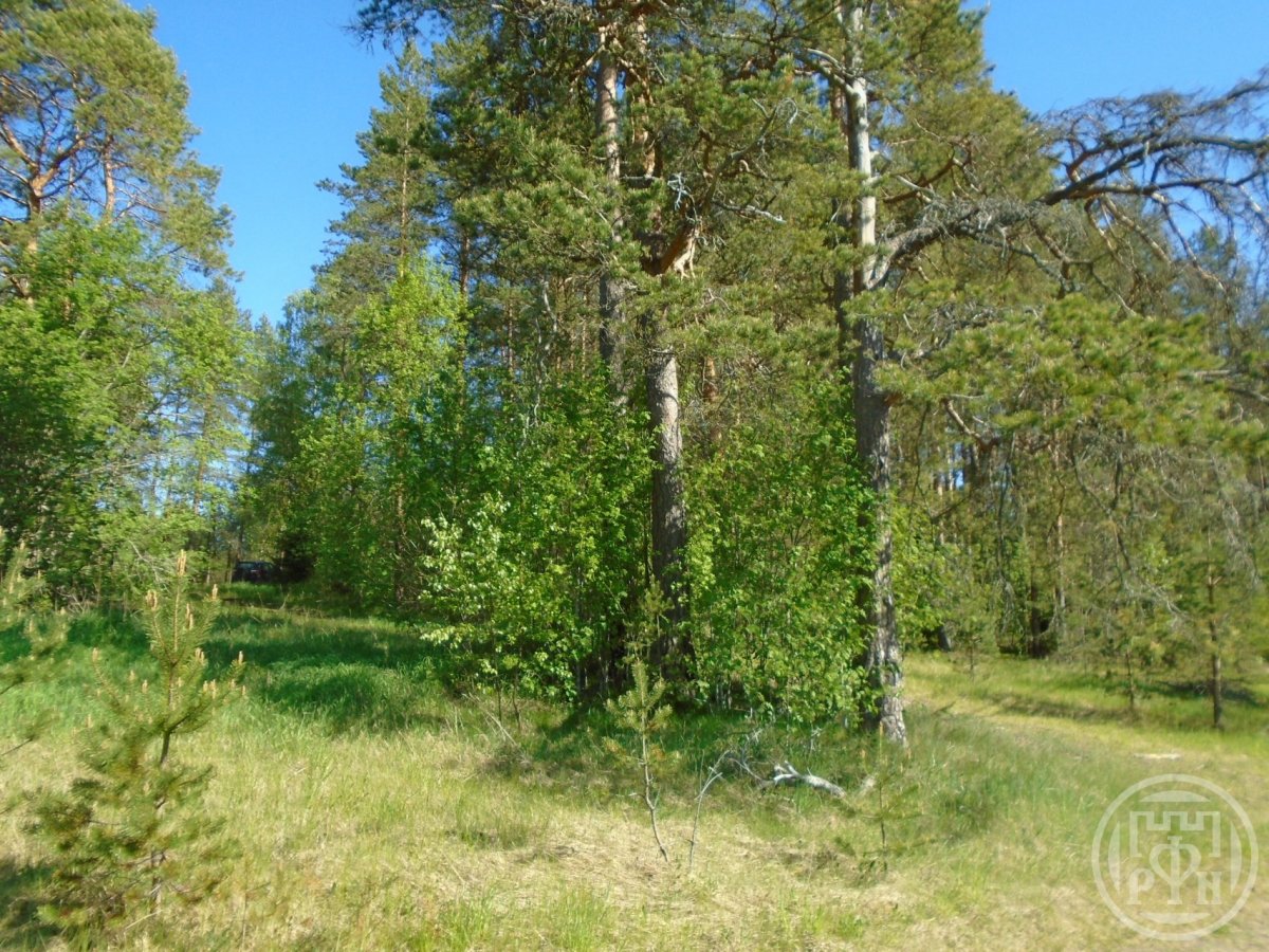 Продажа участка, Нагорное, Нагорное пос. Продажа участка, Нагорное, Нагорное пос.