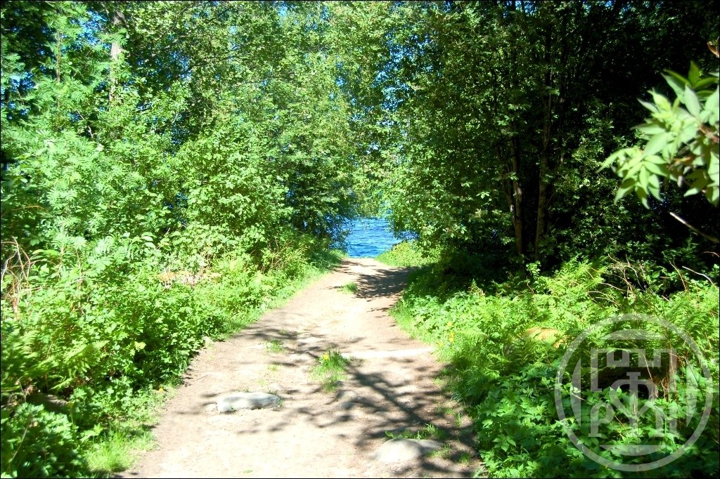 Продажа участка, Ленинградская, Озерное (п.Глубокое) снт. Продажа участка, Ленинградская, Озерное (п.Глубокое) снт.
