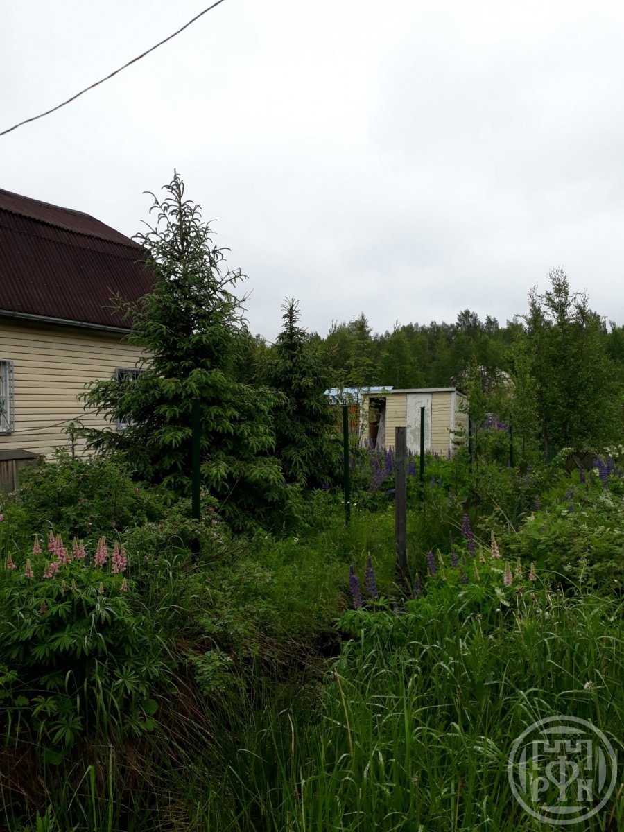 Продажа дома, 36м <sup>2</sup>, 8 сот., Ленинградская, Проба массив Продажа дома, 36м <sup>2</sup>, 8 сот., Ленинградская, Проба массив