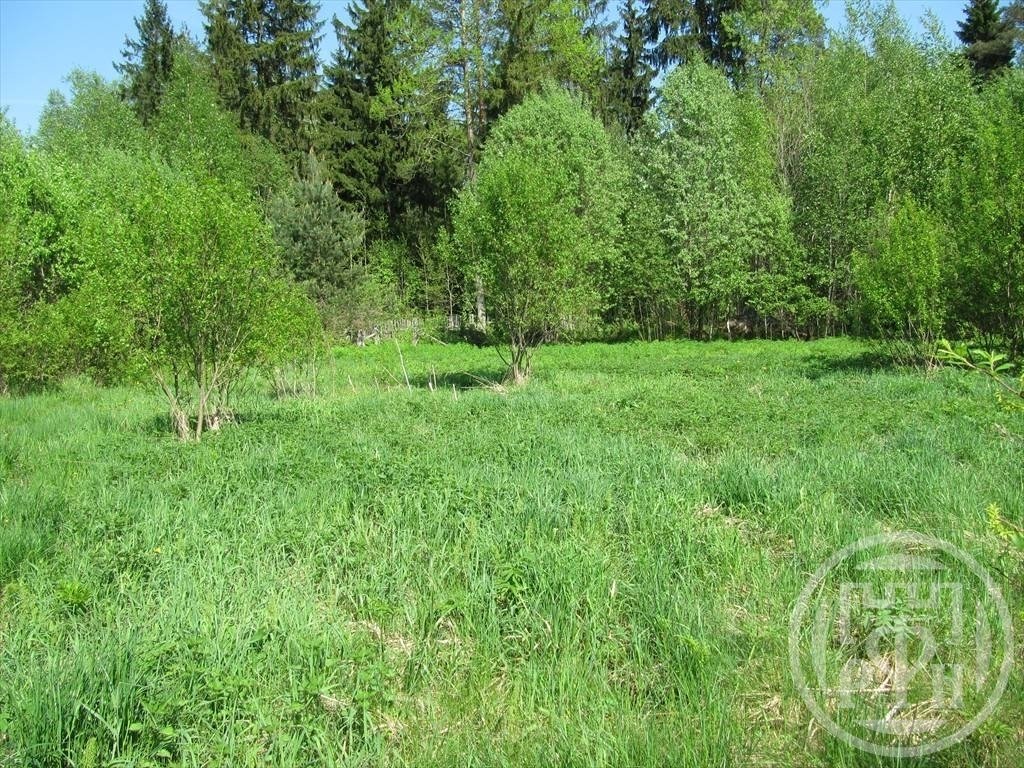 Продажа участка, Пехенец, Пехенец пос. Продажа участка, Пехенец, Пехенец пос.