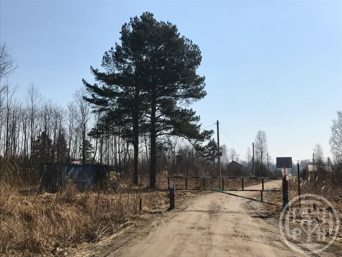 Продажа участка, Ленинградская, Дубровец снт., д 15 Продажа участка, Ленинградская, Дубровец снт., д 15