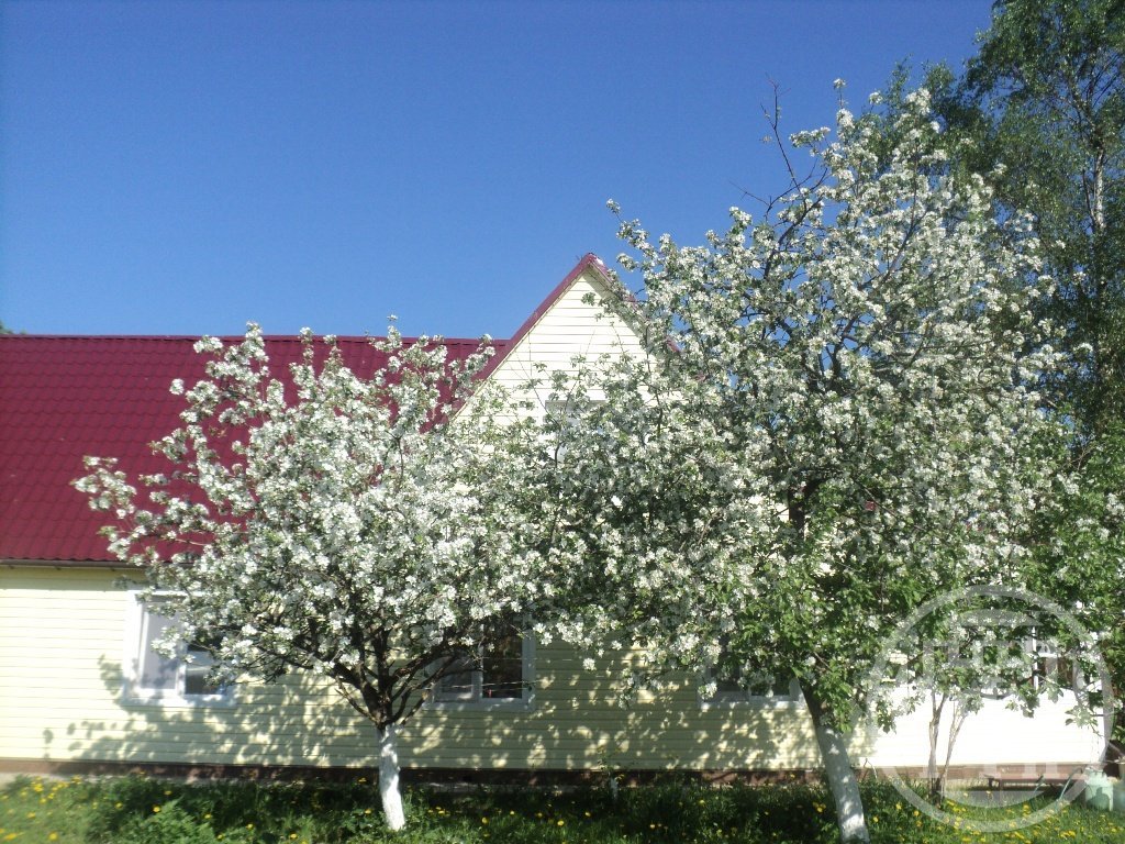 Продажа дома, 210м <sup>2</sup>, 70 сот., Новые Красницы, Новые Красницы дер. Продажа дома, 210м <sup>2</sup>, 70 сот., Новые Красницы, Новые Красницы дер.