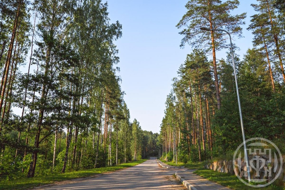Продажа участка, Канисты, Канисты дер. Продажа участка, Канисты, Канисты дер.