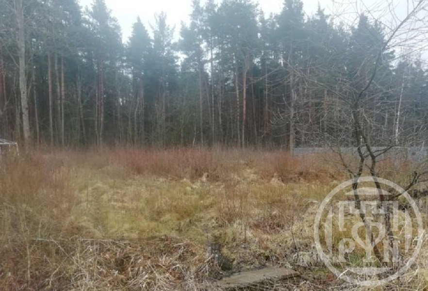 Продажа участка, Петергоф, сдт Красные Зори Лесная (Марьино) ул. Продажа участка, Петергоф, сдт Красные Зори Лесная (Марьино) ул.