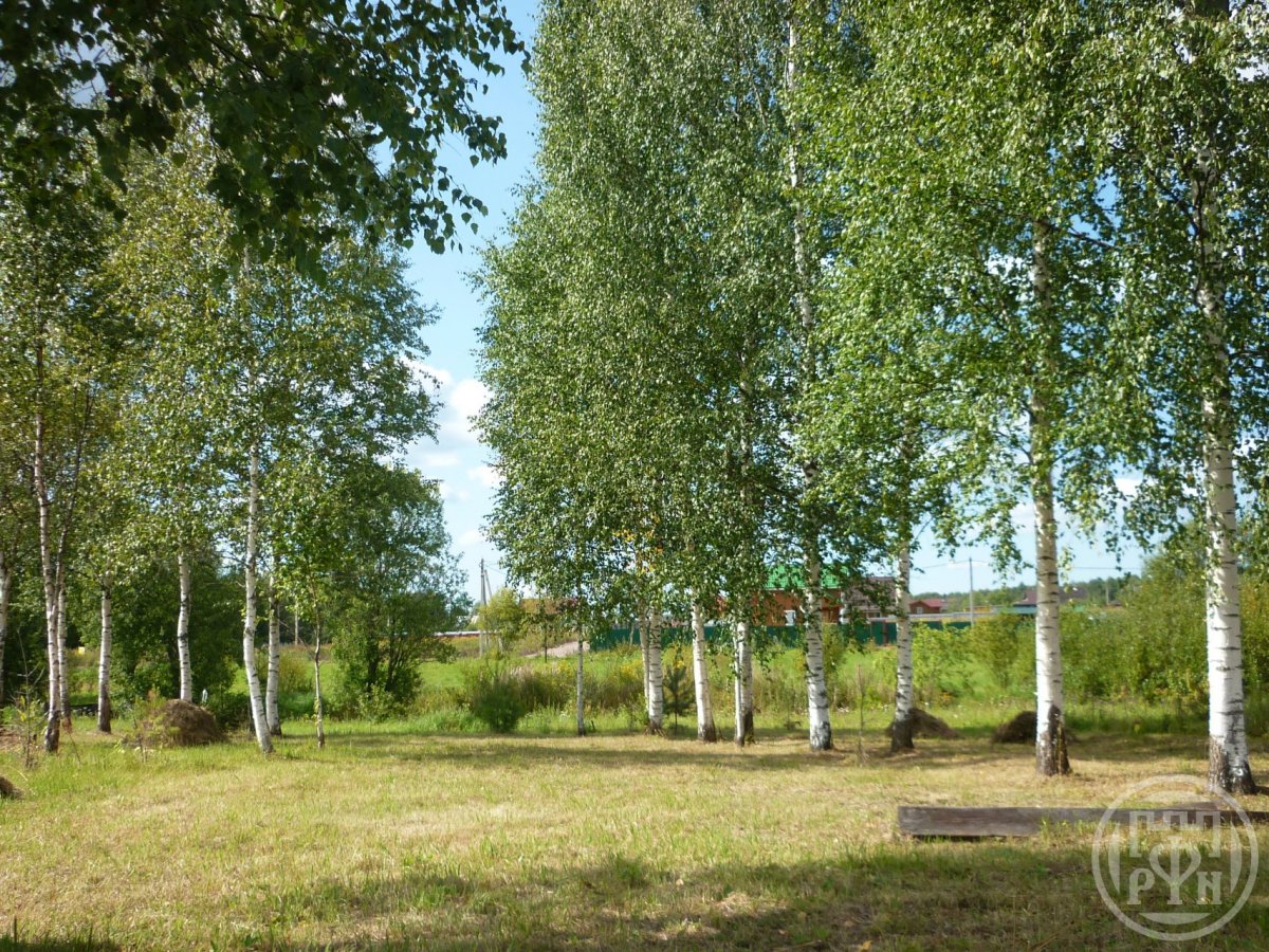 Продажа участка, Турышкино, Турышкино дер. Продажа участка, Турышкино, Турышкино дер.