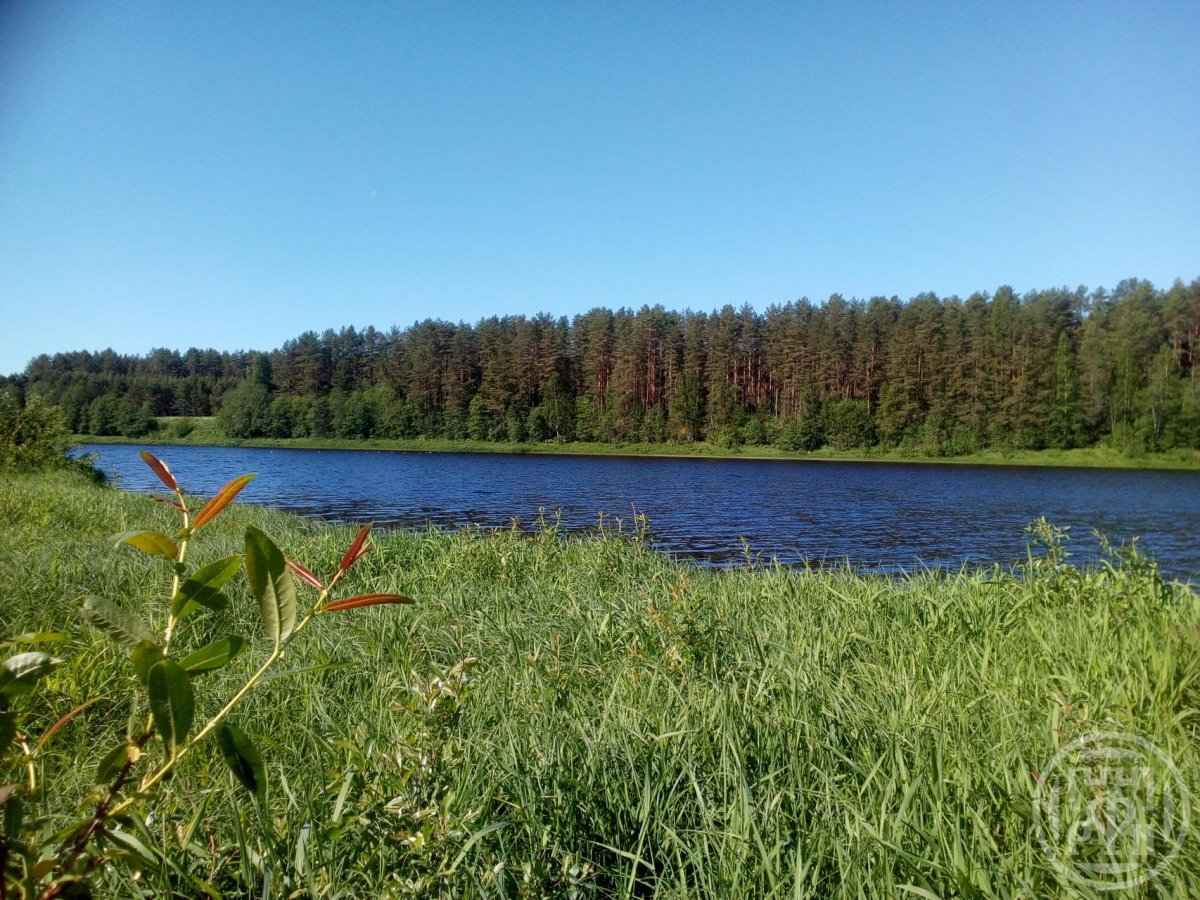 Продажа участка, Папоротно, Папоротно дер., д 39 Продажа участка, Папоротно, Папоротно дер., д 39