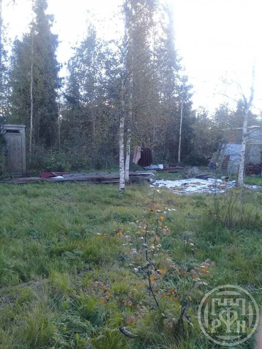 Продажа участка, Ленинградская, Чаща массив Продажа участка, Ленинградская, Чаща массив
