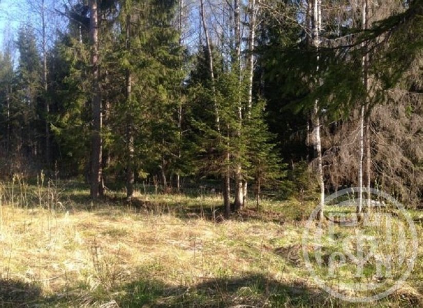 Продажа участка, Ленинское, Андреевский Флаг снт. Продажа участка, Ленинское, Андреевский Флаг снт.