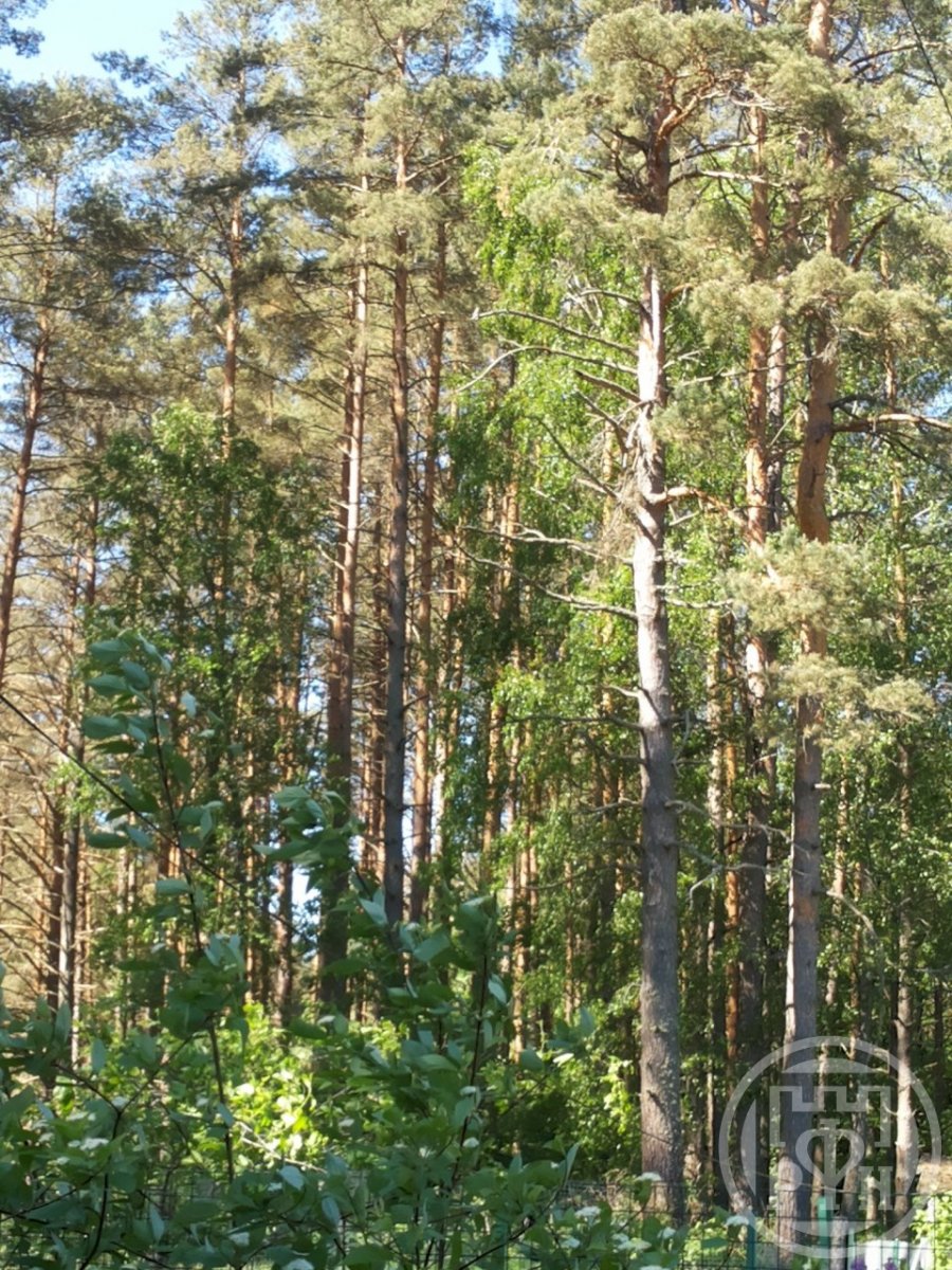 Продажа дома, 60м <sup>2</sup>, 15 сот., Новгородская, Центральная ул., д 2 Продажа дома, 60м <sup>2</sup>, 15 сот., Новгородская, Центральная ул., д 2