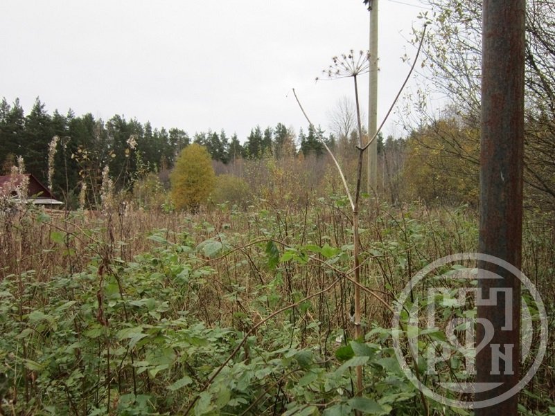 Продажа участка, Ленинградская, Массив Новожилово Продажа участка, Ленинградская, Массив Новожилово