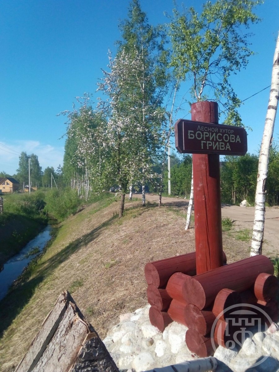Продажа участка, Ленинградская, Борисова Грива массив Продажа участка, Ленинградская, Борисова Грива массив