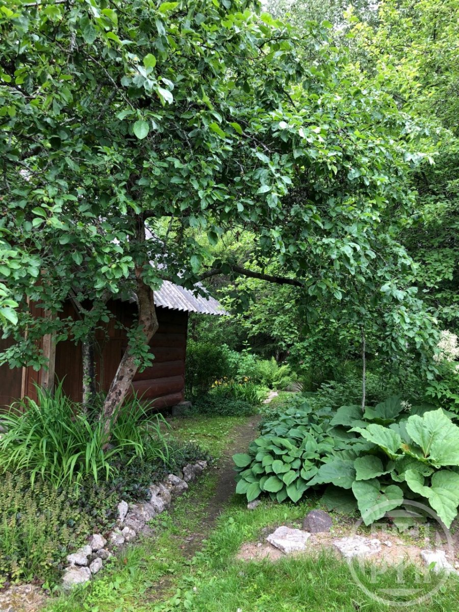 Продажа дома, 14 сот., Ленинградская, Им. Луначарского снт Продажа дома, 14 сот., Ленинградская, Им. Луначарского снт