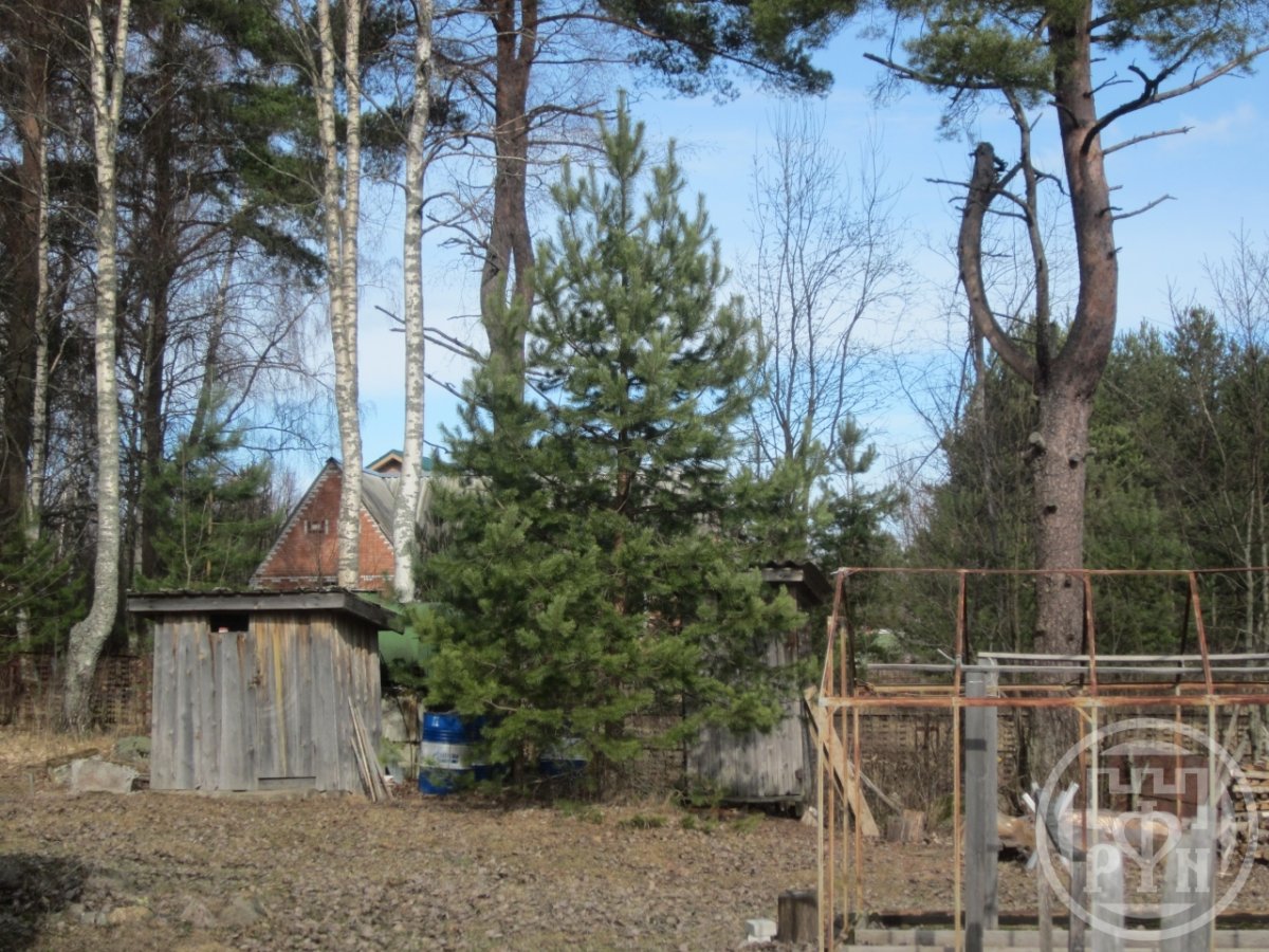 Продажа дома, 48м <sup>2</sup>, 10 сот., Александровка, Александровка дер. Продажа дома, 48м <sup>2</sup>, 10 сот., Александровка, Александровка дер.