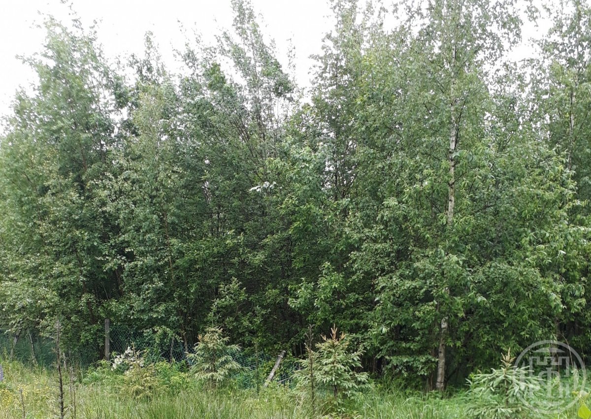 Продажа дома, 36м <sup>2</sup>, 8 сот., Ленинградская, Проба массив Продажа дома, 36м <sup>2</sup>, 8 сот., Ленинградская, Проба массив