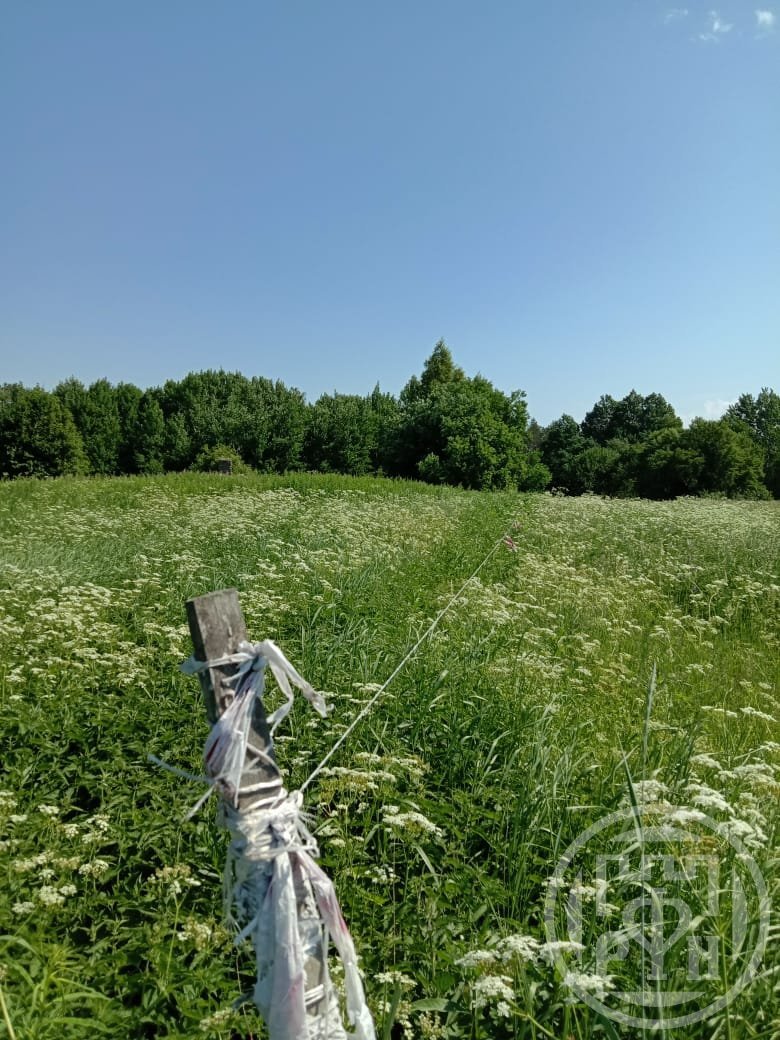 Продажа дома, 18м <sup>2</sup>, 25 сот., Васильево, Васильево дер. Продажа дома, 18м <sup>2</sup>, 25 сот., Васильево, Васильево дер.