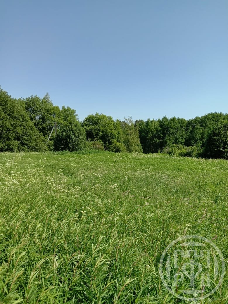 Продажа дома, 18м <sup>2</sup>, 25 сот., Васильево, Васильево дер. Продажа дома, 18м <sup>2</sup>, 25 сот., Васильево, Васильево дер.