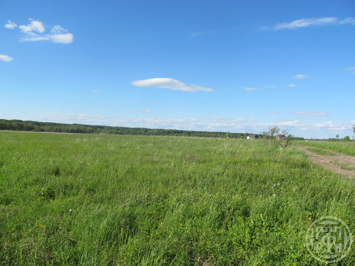Продажа участка, Оржицы, Оржицы дер. Продажа участка, Оржицы, Оржицы дер.