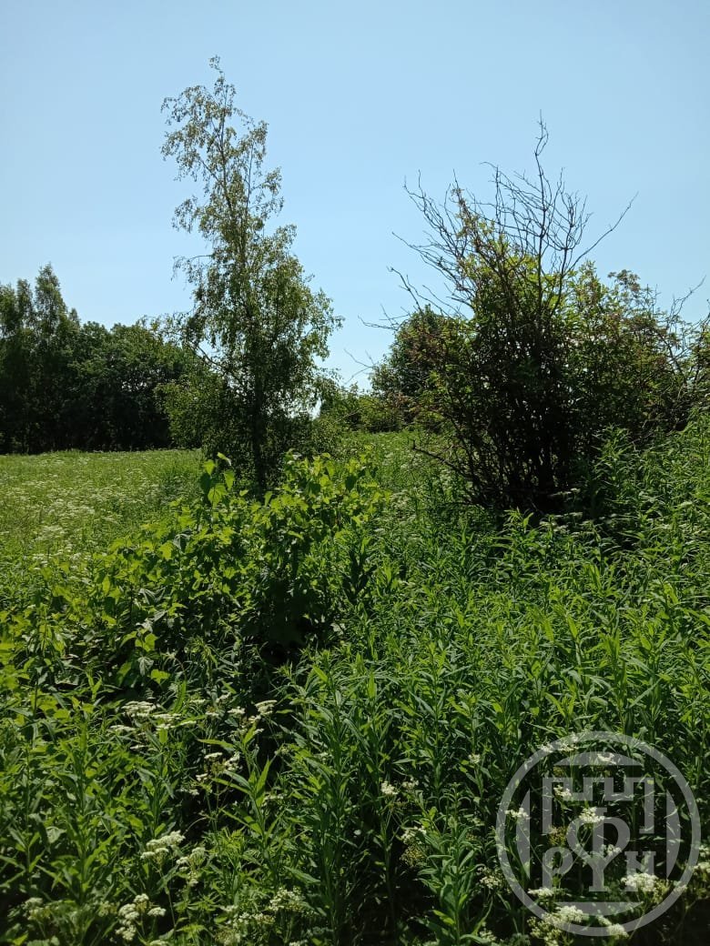 Продажа дома, 18м <sup>2</sup>, 25 сот., Васильево, Васильево дер. Продажа дома, 18м <sup>2</sup>, 25 сот., Васильево, Васильево дер.
