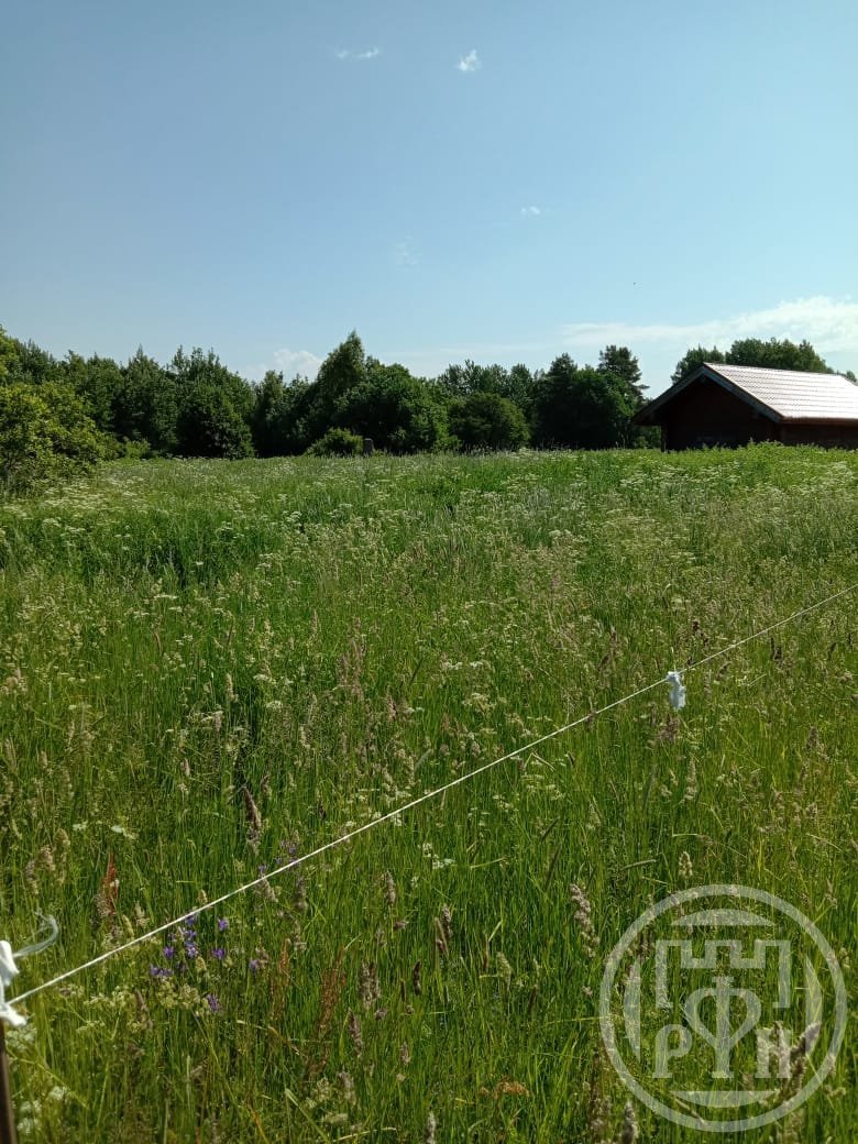 Продажа дома, 18м <sup>2</sup>, 25 сот., Васильево, Васильево дер. Продажа дома, 18м <sup>2</sup>, 25 сот., Васильево, Васильево дер.