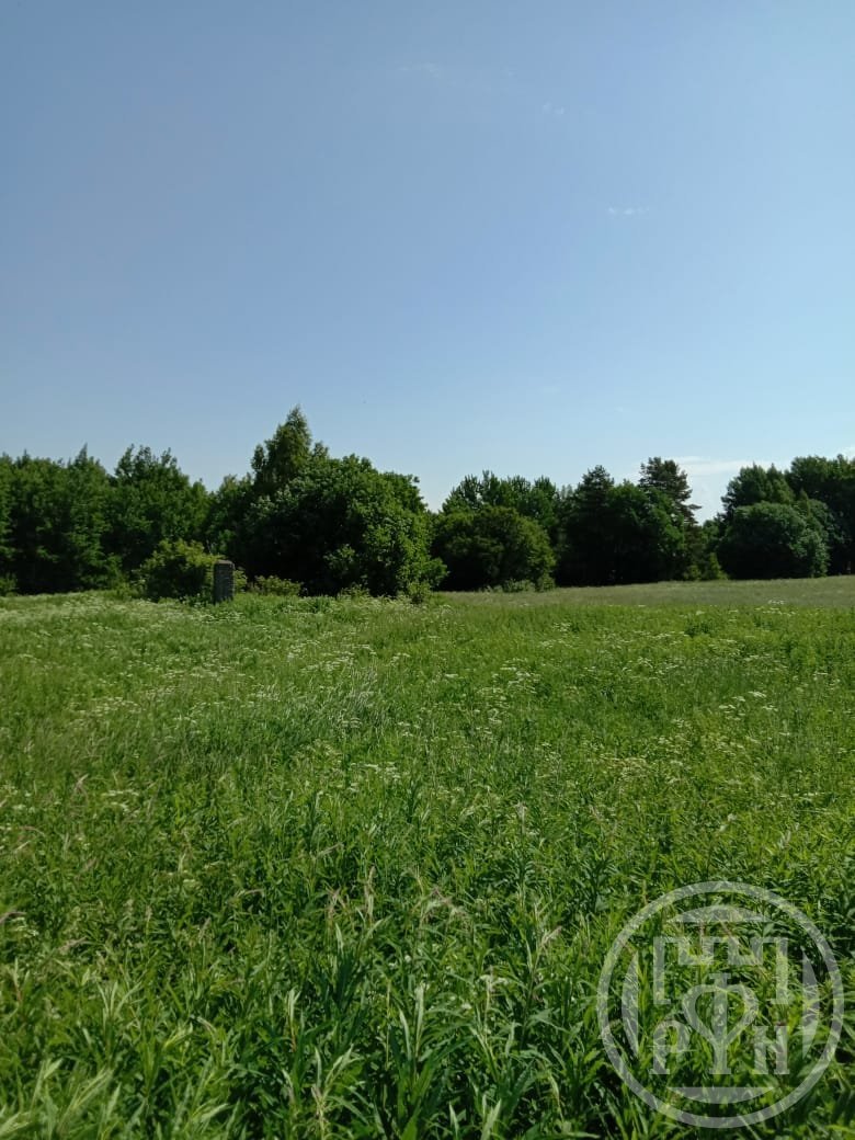 Продажа дома, 18м <sup>2</sup>, 25 сот., Васильево, Васильево дер. Продажа дома, 18м <sup>2</sup>, 25 сот., Васильево, Васильево дер.