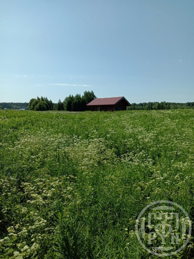 Продажа дома, 18м <sup>2</sup>, 25 сот., Васильево, Васильево дер. Продажа дома, 18м <sup>2</sup>, 25 сот., Васильево, Васильево дер.