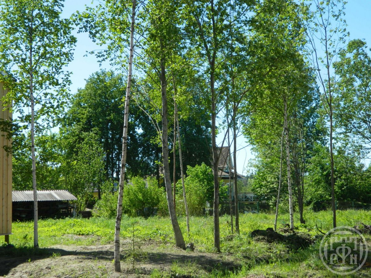 Продажа дома, 146м <sup>2</sup>, 14 сот., Лебяжье, Лебяжье пос. Продажа дома, 146м <sup>2</sup>, 14 сот., Лебяжье, Лебяжье пос.