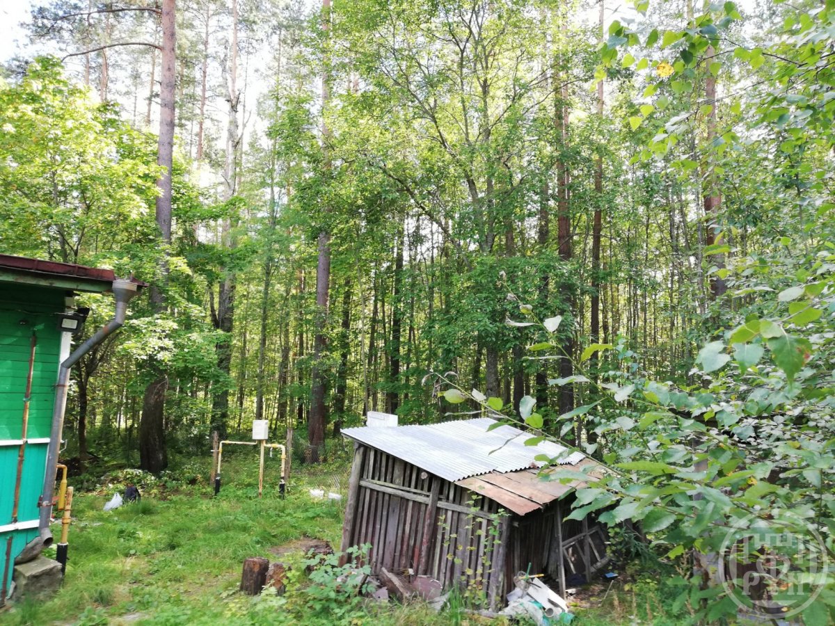 Продажа дома, 49м <sup>2</sup>, 13 сот., Ушково, Вокзальная ул., д 21 Продажа дома, 49м <sup>2</sup>, 13 сот., Ушково, Вокзальная ул., д 21