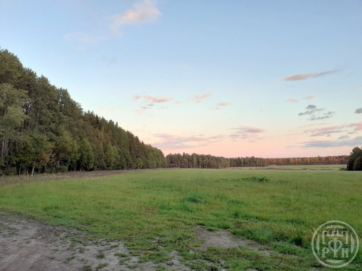 Продажа участка, Ленинградская, Вишневка пос. Продажа участка, Ленинградская, Вишневка пос.
