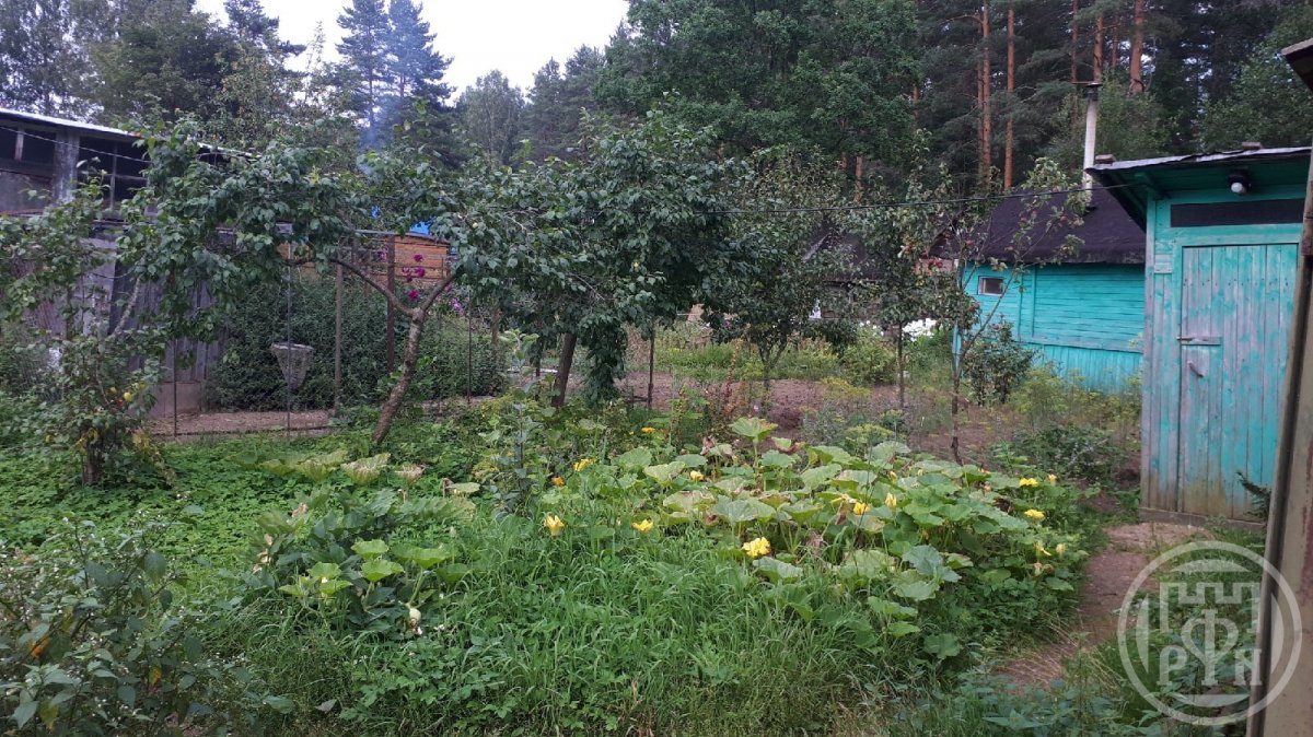 Продажа дома, 26м <sup>2</sup>, 9 сот., Змеиный, Змеиный пос. Продажа дома, 26м <sup>2</sup>, 9 сот., Змеиный, Змеиный пос.