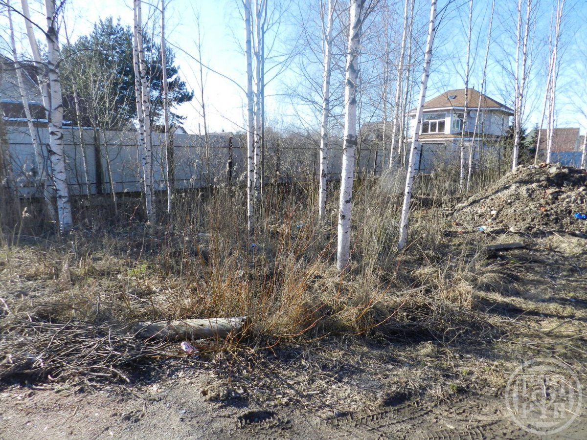 Продажа участка, Сестрорецк, 18-я дорожка (Разлив) ул. Продажа участка, Сестрорецк, 18-я дорожка (Разлив) ул.