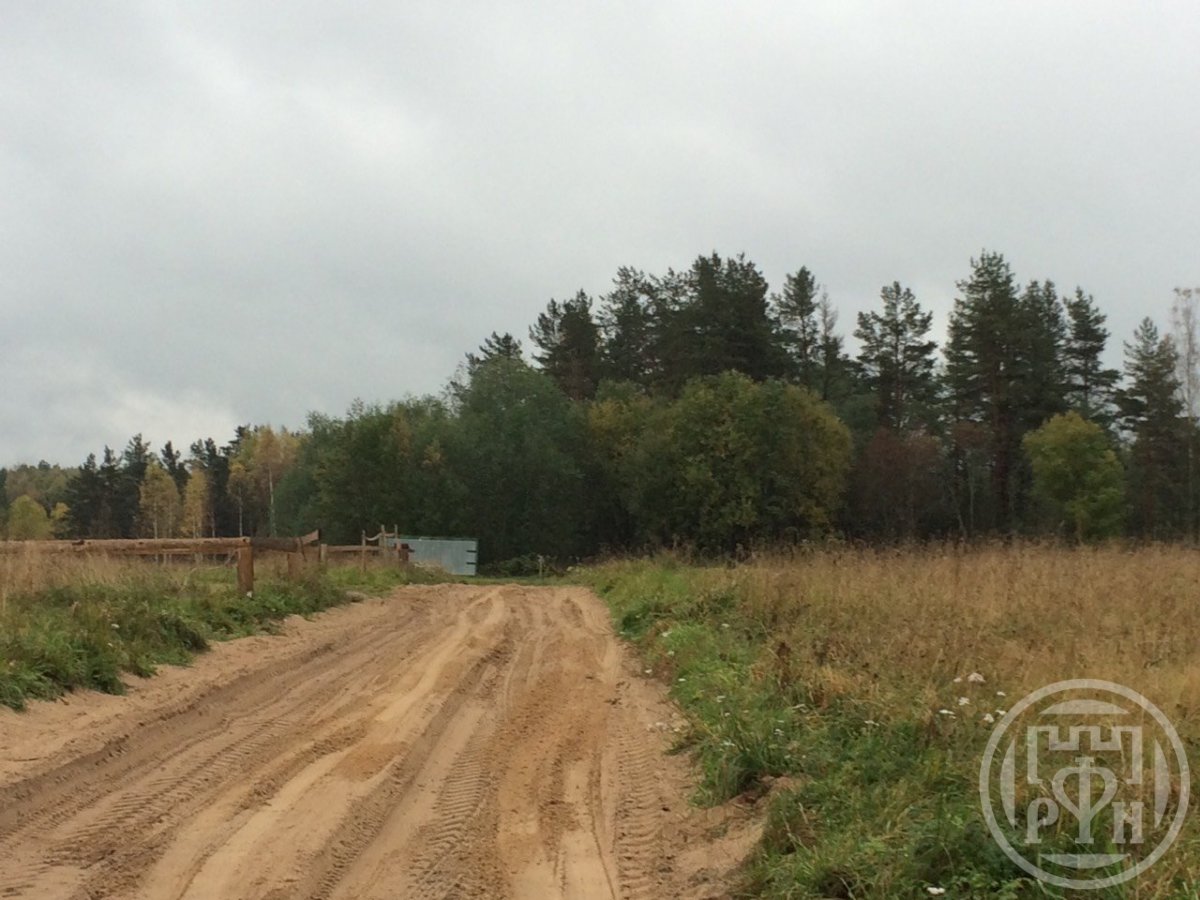Продажа участка, Васильево, Васильево дер. Продажа участка, Васильево, Васильево дер.