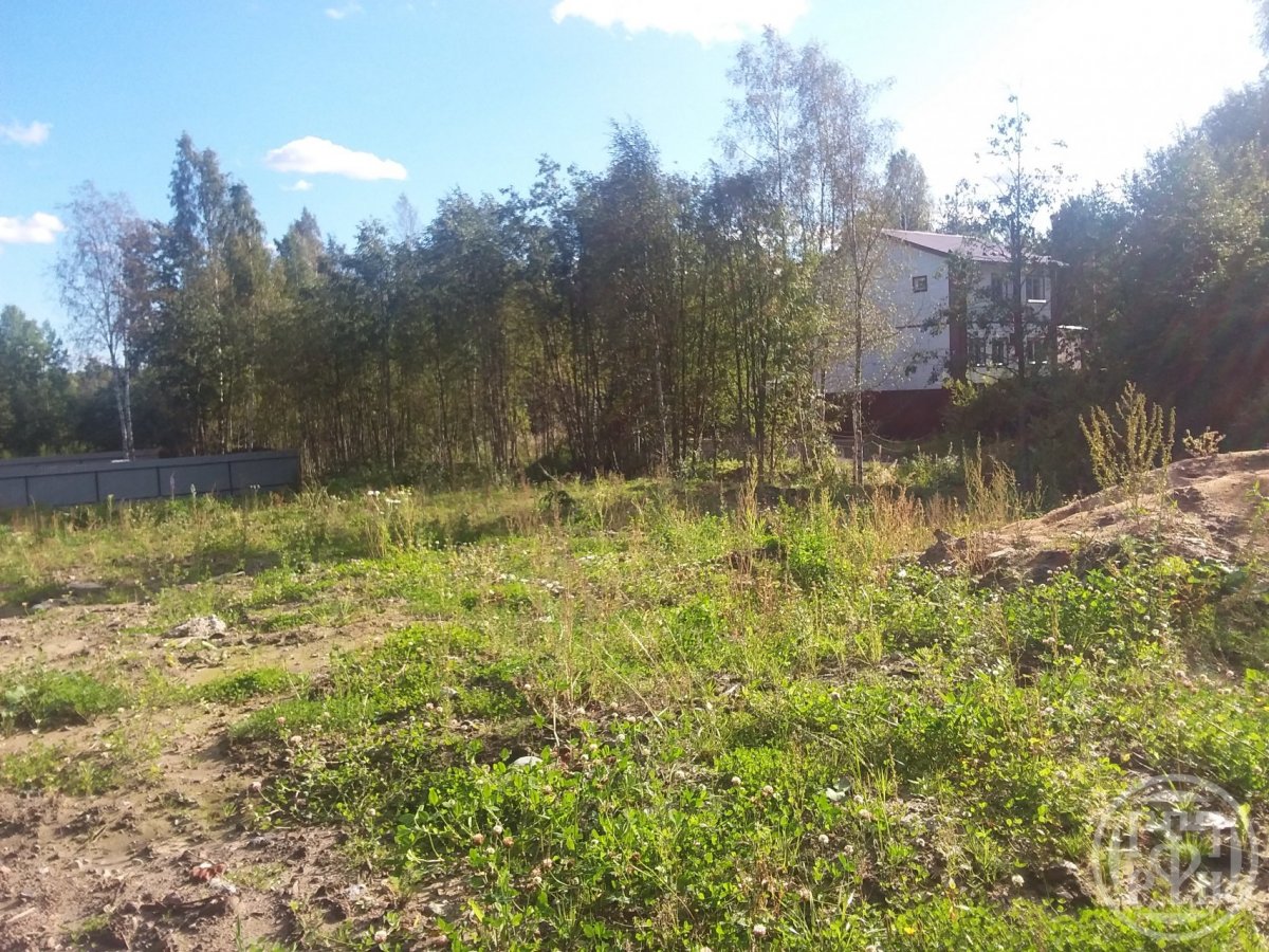 Продажа участка, Ленинградская, 26 км Приозерского шоссе массив Продажа участка, Ленинградская, 26 км Приозерского шоссе массив
