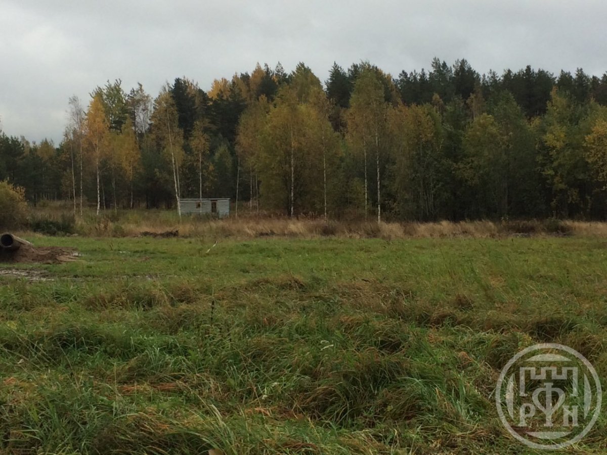 Продажа участка, Васильево, Васильево дер. Продажа участка, Васильево, Васильево дер.