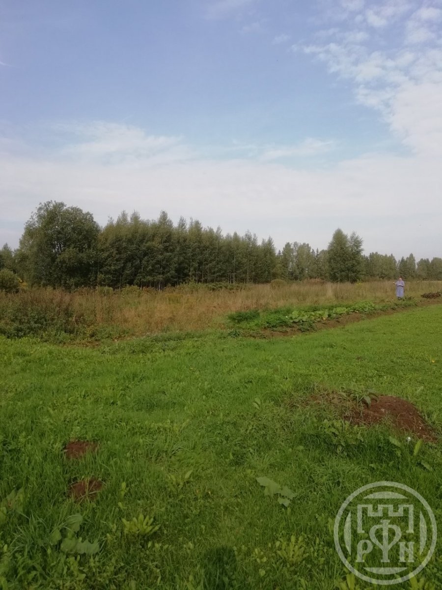 Продажа дома, 48м <sup>2</sup>, 27 сот., Большие Изори, Большие Изори дер., д 4 Продажа дома, 48м <sup>2</sup>, 27 сот., Большие Изори, Большие Изори дер., д 4