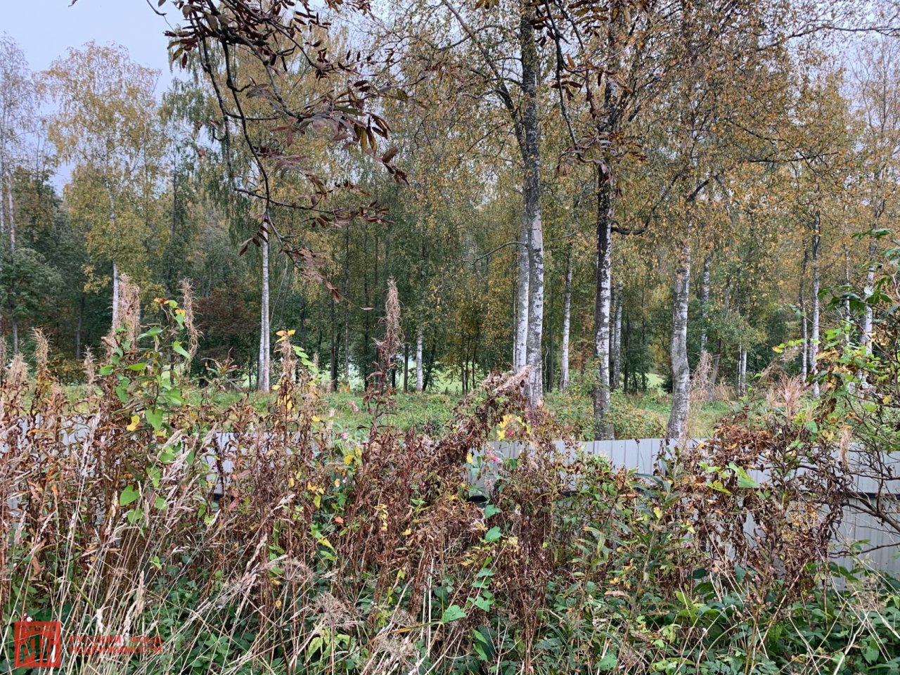 Продажа дома, 73м <sup>2</sup>, 17 сот., Новое Токсово, Парковая ул., д 7 Продажа дома, 73м <sup>2</sup>, 17 сот., Новое Токсово, Парковая ул., д 7