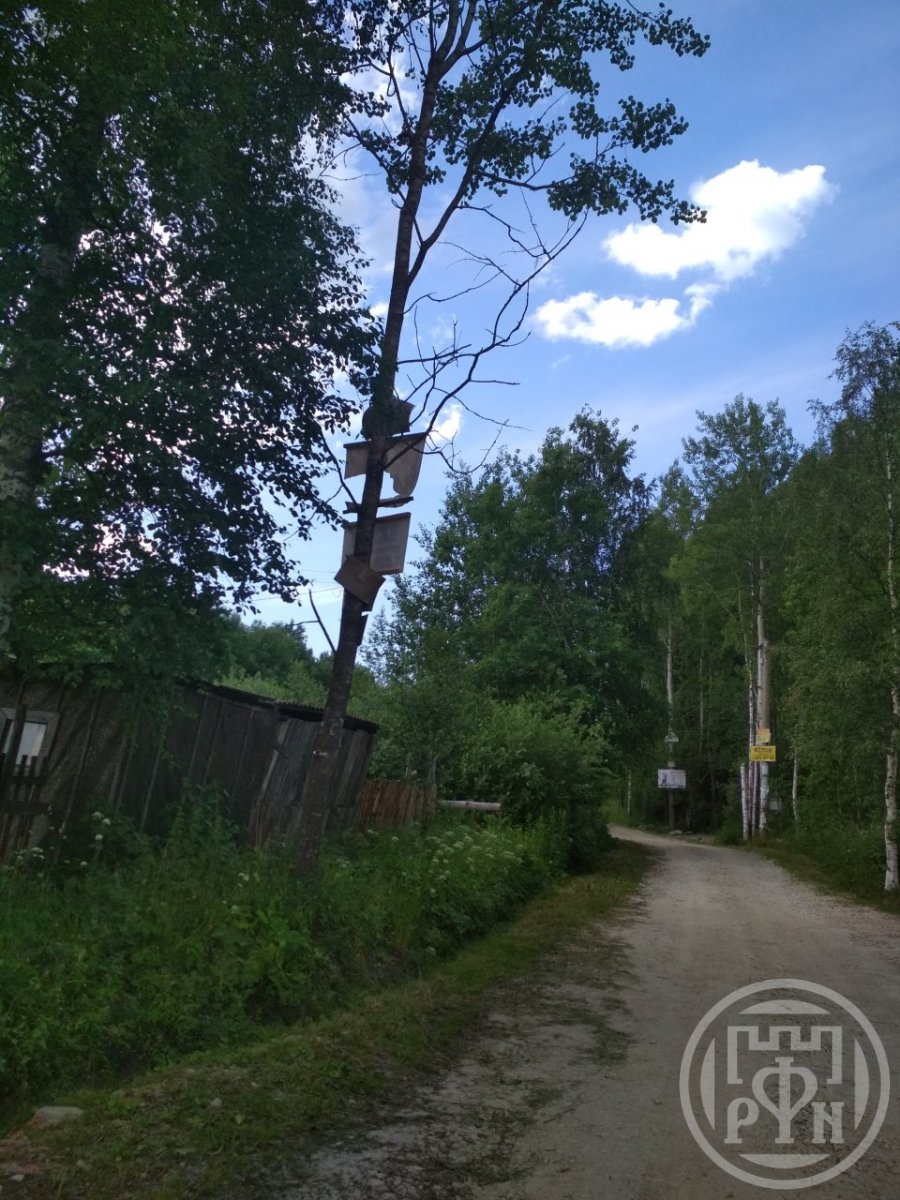 Продажа участка, Петровское, Петровское дер. Продажа участка, Петровское, Петровское дер.